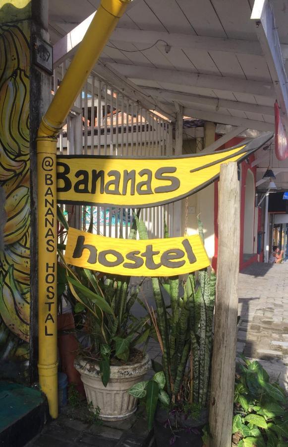 Bananas Hostel Itacaré Eksteriør bilde