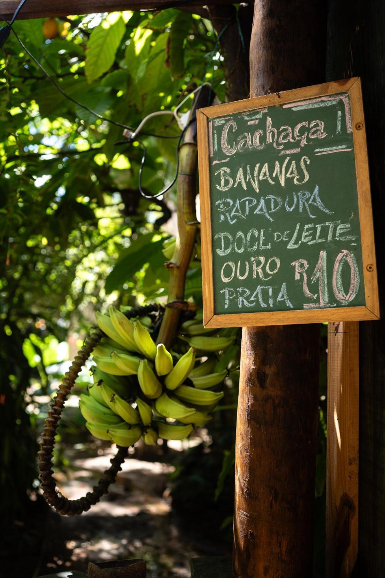 Bananas Hostel Itacaré Eksteriør bilde